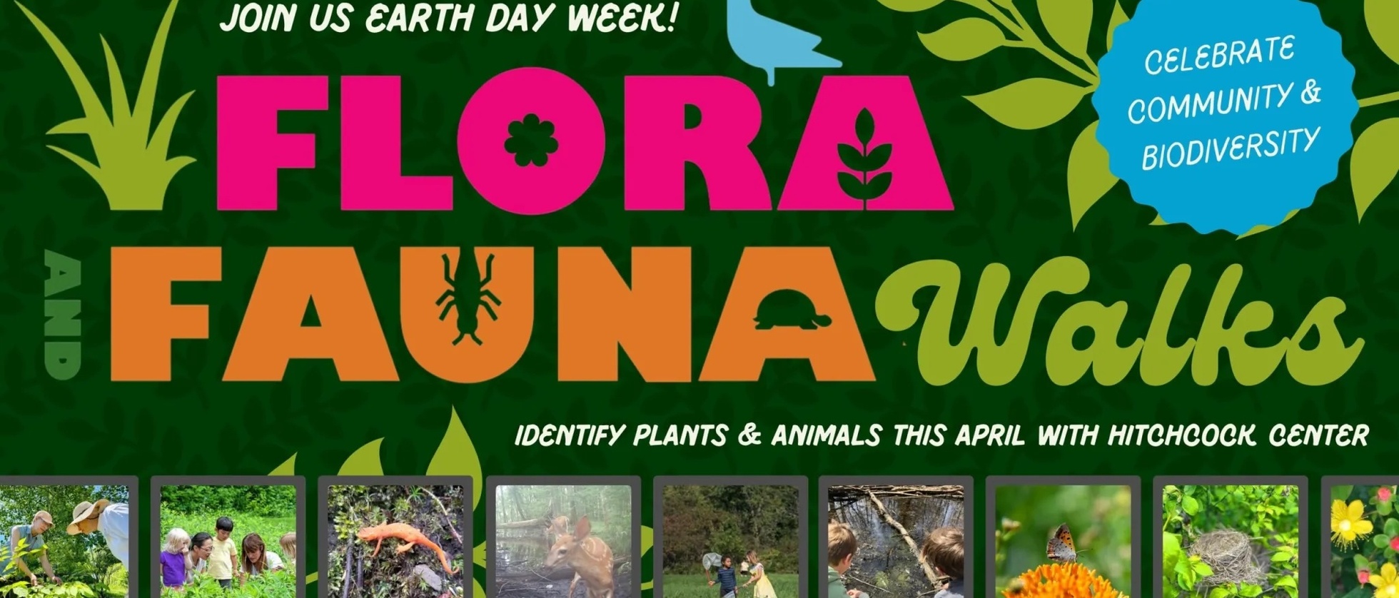 Flora and Fauna Walks